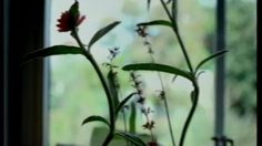 poster-4339-anti-sida-protection-des-enfants-school-236x132