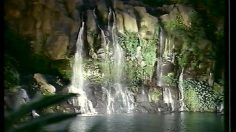 poster-4362-tartare-homme-sous-cascade-236x132