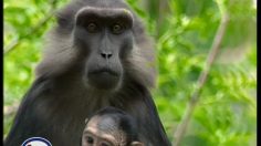 poster-4384-esso-station-essence-couverts-236x132