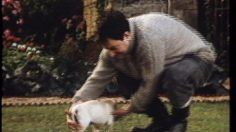 poster-4394-hamlet-chiot-pq-236x132