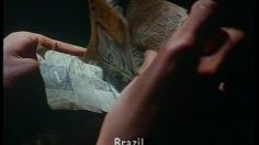 poster-4409-puma-shoes-match-bresil-gb-236x132