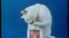 poster-4411-kattomeat-cat-channel-236x132