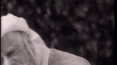 poster-4429-hamlet-pere-noel-236x132