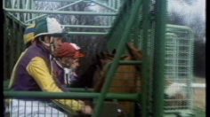 poster-4447-hamlet-tierce-236x132