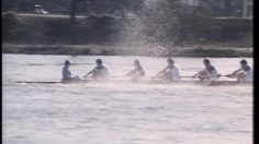 poster-4469-hamlet-aviron-236x132