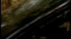 poster-4477-volkswagen-passat-tdi-la-panne-236x132