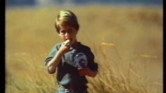 poster-4508-la-vache-qui-rit-le-pilote-236x132