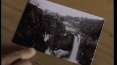 poster-4515-georgia-cafe-tete-de-cerf-236x132