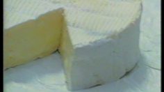 poster-4516-coeur-de-lion-camembert-force-et-tendresse-236x132