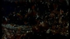 poster-4520-novotel-hotel-le-voyage-236x132