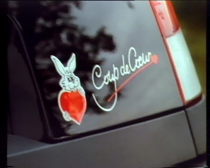 Renault Le couple Culture Pub