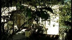 poster-453-canine-equipment-lawnmover-man-236x132