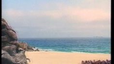 poster-4536-nissin-cup-noodle-le-poulpe-236x132