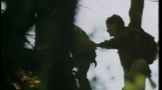 poster-4538-nestle-chocolat-incontro-cerbiatto-236x132