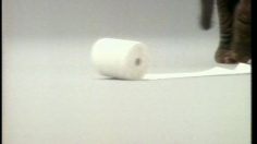 poster-4547-fiesta-papier-toilette-jumbo-236x132