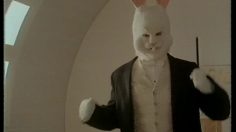 poster-4562-air-wick-champignons-magiques-le-lapin-236x132