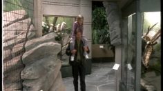 poster-457-feed-cage-236x132