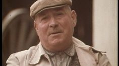 poster-4604-maggi-creme-d-asperges-paysan-236x132