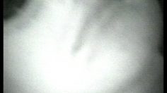 poster-4644-chanel-n5-marilyn-236x132