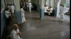 poster-4648-braathens-s-a-f-e-mad-house-236x132