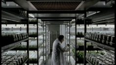 poster-468-centraal-beheer-cornichon-geant-236x132