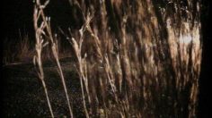 poster-4687-bmw-coupe-les-phares-236x132