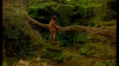 poster-4701-herta-grand-charcutier-la-libellule-236x132