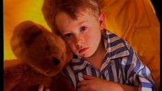 poster-4716-disneyland-parc-d-attraction-c-est-le-grand-jour-236x132