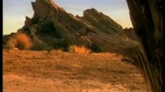 poster-4749-budweiser-biere-fourmis-236x132