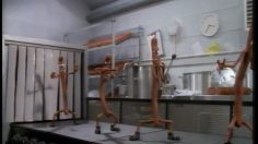 poster-4756-peperami-steack-236x132