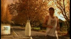 poster-480-instant-kiwi-sperme-de-taureau-236x132