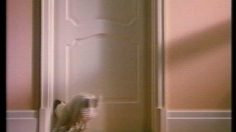 poster-4816-soupline-un-peu-de-douceur-dans-un-monde-de-brutes-236x132