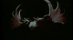 poster-4844-musees-nationaux-chateau-de-saint-germain-en-laye-chateau-st-germain-en-laye-236x132