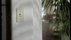 poster-4866-prince-jimmy-connors-236x132