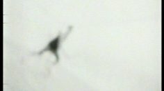 poster-4876-audi-a4-number-one-236x132