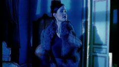 poster-4877-protection-animaux-le-renard-236x132