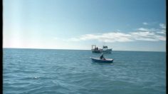 poster-488-dorada-fisherman-236x132