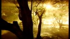 poster-4896-evian-morning-exercices-236x132