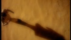 poster-4934-guinness-enigma-enigma-236x132