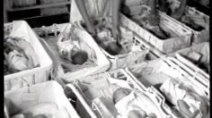 poster-4941-uap-papy-boom-236x132