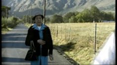 poster-495-rimi-supermarche-tribunslitter-236x132