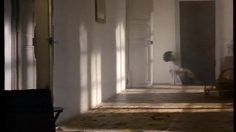 poster-4960-le-bourget-collants-au-telephone-236x132