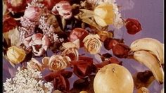 poster-4998-roquefort-societe-historique-236x132