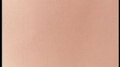 poster-5003-roquefort-societe-l-abeille-d-or-l-abeille-236x132