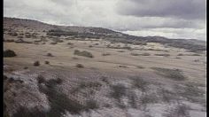 poster-5007-roquefort-societe-au-pays-du-roquefort-236x132