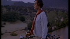 poster-5051-pingouin-pull-pret-a-porter-gladys-236x132