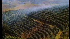 poster-5074-nescafe-special-filtre-special-filtre-236x132