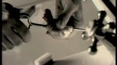 poster-5075-societe-generale-alterna-j-aime-j-aime-pas-236x132