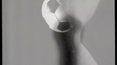 poster-5097-antartica-biere-whoopy-236x132