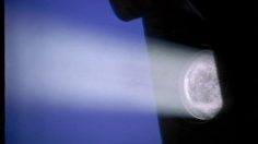 poster-5098-droits-et-libertes-acces-a-la-culture-cultures-236x132